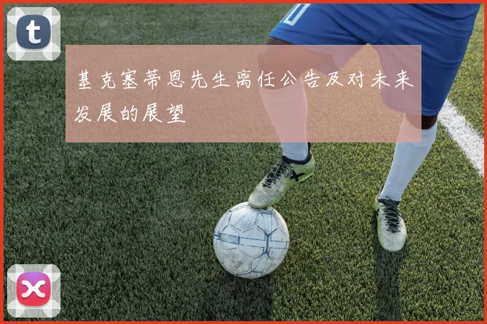 基克塞蒂恩先生离任公告及对未来发展的展望