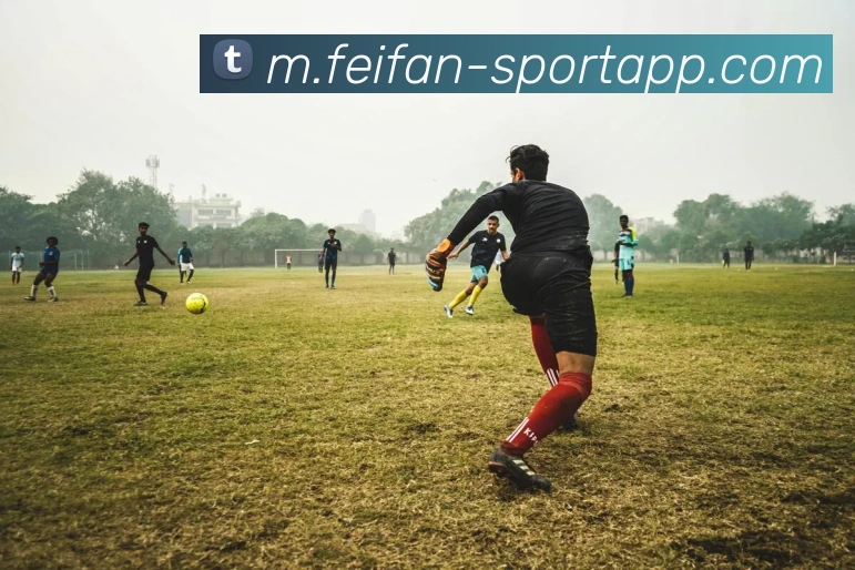 路威指责字母哥制造混乱却反咬媒体报道者撒谎引发争议